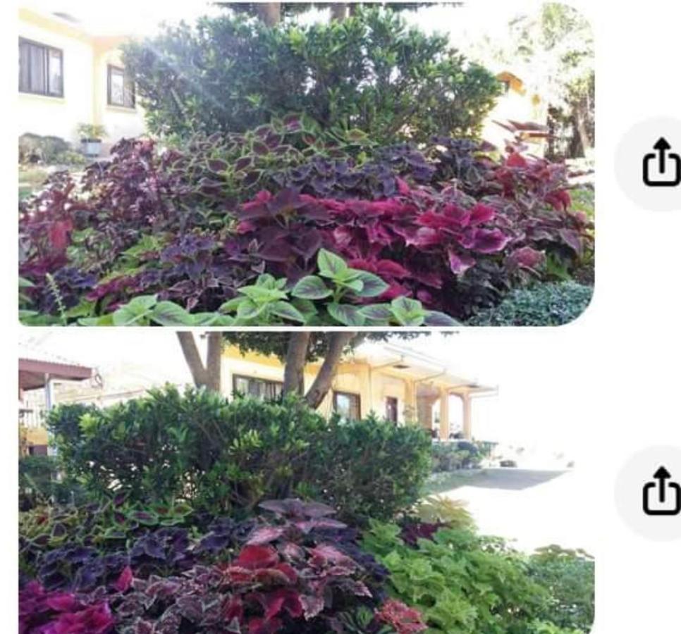Seabreeze Beachfront Home And Cottages New Management ซานฮวน ภายนอก รูปภาพ